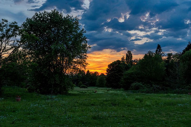 Sonnenuntergang Queen-Auguste-Victoria-Park Umkirch